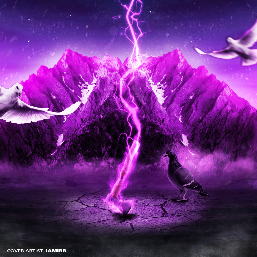 فتومونتاژ - امیرحسین ذوالفقاری